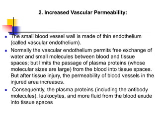 The small blood vessel wall is made of thin endothelium
(called vascular endothelium).
 Normally the vascular endothelium permits free exchange of
water and small molecules between blood and tissue
spaces; but limits the passage of plasma proteins (whose
molecular sizes are large) from the blood into tissue spaces.
But after tissue injury, the permeability of blood vessels in the
injured area increases.
 Consequently, the plasma proteins (including the antibody
molecules), leukocytes, and more fluid from the blood exude
into tissue spaces
2. Increased Vascular Permeability:
 