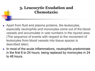  Apart from fluid and plasma proteins, the leukocytes,
especially neutrophils and monocytes come out of the blood
vessels and accumulate in vast numbers in the injured area
(The sequence of events with respect to the movement of
leukocytes from blood vessels into tissue spaces is
described later).
 In most of the acute inflammations, neutrophils predominate
in the first 6 to 24 hours, being replaced by monocytes in 24
to 48 hours.
3. Leucocytic Exudation and
Chemotaxis:
 