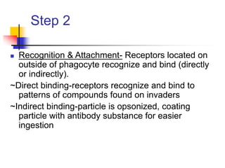 Step 2
 Recognition & Attachment- Receptors located on
outside of phagocyte recognize and bind (directly
or indirectly).
~Direct binding-receptors recognize and bind to
patterns of compounds found on invaders
~Indirect binding-particle is opsonized, coating
particle with antibody substance for easier
ingestion
 