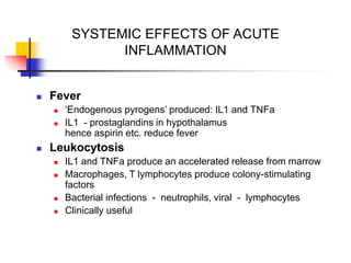 SYSTEMIC EFFECTS OF ACUTE
INFLAMMATION
 Fever
 ‘Endogenous pyrogens’ produced: IL1 and TNFa
 IL1 - prostaglandins in hypothalamus
hence aspirin etc. reduce fever
 Leukocytosis
 IL1 and TNFa produce an accelerated release from marrow
 Macrophages, T lymphocytes produce colony-stimulating
factors
 Bacterial infections - neutrophils, viral - lymphocytes
 Clinically useful
 