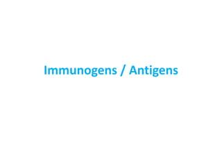Immunogens / Antigens
 