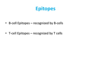 Epitopes
• B-cell Epitopes – recognized by B-cells
• T-cell Epitopes – recognized by T cells
 