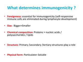 What determines immunogenicity ?
• Foreignness: essential for immunogenicity (self-responsive
immune cells are eliminated during lymphocyte development)
• Size: Bigger>Smaller
• Chemical composition: Proteins > nucleic acids /
polysaccharides / lipids
• Structure: Primary /secondary /tertiary structures play a role
• Physical form: Particulate> Soluble
 