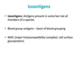 Isoantigens
• Isoantigens: Antigens present in some but not all
members of a species
• Blood group antigens – basis of blood grouping
• MHC (major histocompatibility complex)- cell surface
glycoproteins
 