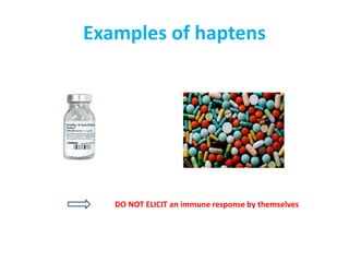 Examples of haptens
DO NOT ELICIT an immune response by themselves
 