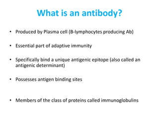 What is an antibody?
• Produced by Plasma cell (B-lymphocytes producing Ab)
• Essential part of adaptive immunity
• Specifically bind a unique antigenic epitope (also called an
antigenic determinant)
• Possesses antigen binding sites
• Members of the class of proteins called immunoglobulins
 