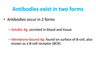 • Antibodies occur in 2 forms
– Soluble Ag: secreted in blood and tissue
– Membrane-bound Ag: found on surface of B-cell, also
known as a B-cell receptor (BCR)
Antibodies exist in two forms
 