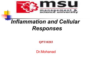 Inflammation and Cellular
Responses
Dr.Mohanad
QPT10203
 