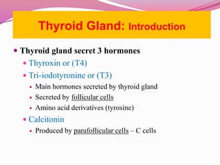 Thyroid Gland: IntroductionThyroid gland secret 3 hormonesThyroxin or (T4) Tri-iodotyronine or (T3)Main hormones secreted by thyroid glandSecreted by follicular cellsAmino acid derivatives (tyrosine)CalcitoninProduced by parafollicular cells – C cells