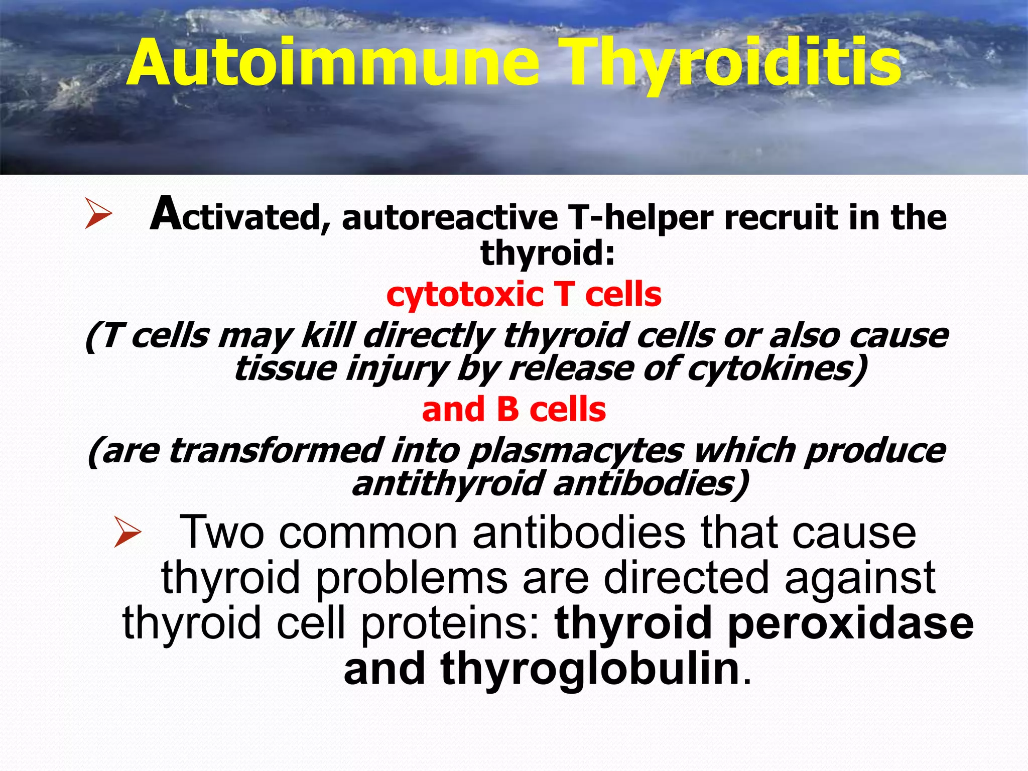Autoimmune Thyroiditis
 Activated, autoreactive T-helper recruit in the
thyroid:
cytotoxic T cells
(T cells may kill directly thyroid cells or also cause
tissue injury by release of cytokines)
and B cells
(are transformed into plasmacytes which produce
antithyroid antibodies)
 Two common antibodies that cause
thyroid problems are directed against
thyroid cell proteins: thyroid peroxidase
and thyroglobulin.
 