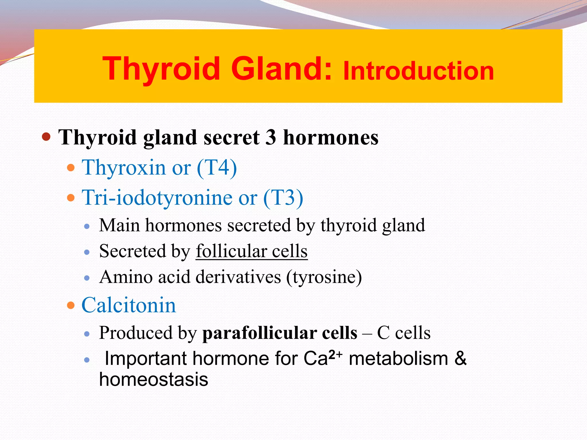  Thyroid gland secret 3 hormones
 Thyroxin or (T4)
 Tri-iodotyronine or (T3)
 Main hormones secreted by thyroid gland
 Secreted by follicular cells
 Amino acid derivatives (tyrosine)
 Calcitonin
 Produced by parafollicular cells – C cells
 Important hormone for Ca2+ metabolism &
homeostasis
Thyroid Gland: Introduction
 