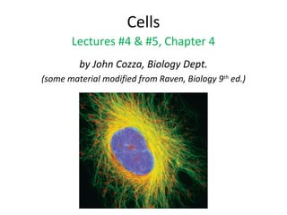 Cells
Lectures #4 & #5, Chapter 4
by John Cozza, Biology Dept.
(some material modified from Raven, Biology 9th
ed.)
 