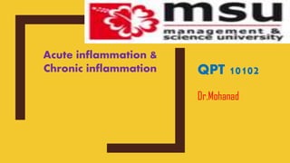 QPT 10102
Dr.Mohanad
Acute inflammation &
Chronic inflammation
 
