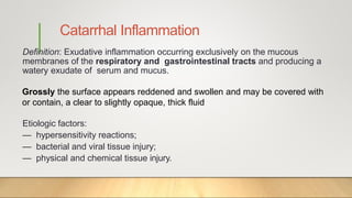 Catarrhal Inflammation
Definition: Exudative inflammation occurring exclusively on the mucous
membranes of the respiratory and gastrointestinal tracts and producing a
watery exudate of serum and mucus.
Grossly the surface appears reddened and swollen and may be covered with
or contain, a clear to slightly opaque, thick fluid
Etiologic factors:
— hypersensitivity reactions;
— bacterial and viral tissue injury;
— physical and chemical tissue injury.
 