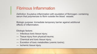 Fibrinous Inflammation
Definition: Exudative inflammation with exudation of fibrinogen- containing
serum that polymerizes to fibrin outside the blood vessels.
Biologic purpose: Immediate temporary barrier against additional
effects of inflammation.
Etiologic factors:
— Infectious toxic tissue injury;
— Tissue injury from physical trauma;
— Chemical and toxic tissue injury;
— Excretion of toxic metabolites (uremic toxins);
— Ischemic tissue injury.
 