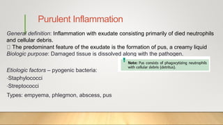 Purulent Inflammation
General definition: Inflammation with exudate consisting primarily of died neutrophils
and cellular debris.
The predominant feature of the exudate is the formation of pus, a creamy liquid
Biologic purpose: Damaged tissue is dissolved along with the pathogen.
Etiologic factors – pyogenic bacteria:
•Staphylococci
•Streptococci
Types: empyema, phlegmon, abscess, pus
 