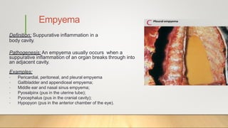 Empyema
Definition: Suppurative inflammation in a
body cavity.
Pathogenesis: An empyema usually occurs when a
suppurative inflammation of an organ breaks through into
an adjacent cavity.
Examples:
• Pericardial, peritoneal, and pleural empyema
• Gallbladder and appendiceal empyema;
• Middle ear and nasal sinus empyema;
• Pyosalpinx (pus in the uterine tube);
• Pyocephalus (pus in the cranial cavity);
• Hypopyon (pus in the anterior chamber of the eye).
 