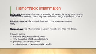 Hemorrhagic Inflammation
Definition: Exudative inflammation involving microvascular injury with massive
microvascular bleeding, producing an exudate with a high erythrocyte content.
Biologic purpose: Exudative inflammation due to severe vascular
injury.
Morphology: The inflamed area is usually necrotic and filled with blood.
Etiologic factors:
— bacterial exotoxins and endotoxins;
— viral cytopathic effect on endothelium;
— proteolytic tissue destruction;
— cytotoxic injury in hypersensitivity type III.
 
