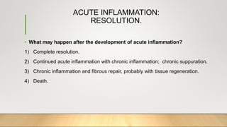 ACUTE INFLAMMATION:
RESOLUTION.
• What may happen after the development of acute inflammation?
1) Complete resolution.
2) Continued acute inflammation with chronic inflammation; chronic suppuration.
3) Chronic inflammation and fibrous repair, probably with tissue regeneration.
4) Death.
 