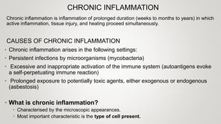 CHRONIC INFLAMMATION
Chronic inflammation is inflammation of prolonged duration (weeks to months to years) in which
active inflammation, tissue injury, and healing proceed simultaneously.
CAUSES OF CHRONIC INFLAMMATION
• Chronic inflammation arises in the following settings:
• Persistent infections by microorganisms (mycobacteria)
• Excessive and inappropriate activation of the immune system (autoantigens evoke
a self-perpetuating immune reaction)
• Prolonged exposure to potentially toxic agents, either exogenous or endogenous
(asbestosis)
• What is chronic inflammation?
• Characterised by the microscopic appearances.
• Most important characteristic is the type of cell present.
 