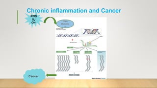 Chronic inflammation and Cancer
ROS
O2
-
OH- DNA
Mutatio
n
Cancer
 