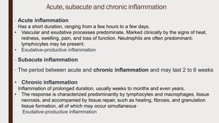 Acute,subacute and chronicinflammation
• Acute inflammation
− Has a short duration, ranging from a few hours to a few days.
• Vascular and exudative processes predominate. Marked clinically by the signs of heat,
redness, swelling, pain, and loss of function. Neutrophils are often predominant;
lymphocytes may be present.
• Exudative-productive inflammation
• Subacute inflammation
• The period between acute and chronic inflammation and may last 2 to 6 weeks
• Chronic inflammation
− Inflammation of prolonged duration, usually weeks to months and even years.
• The response is characterized predominantly by lymphocytes and macrophages, tissue
necrosis, and accompanied by tissue repair, such as healing, fibrosis, and granulation
tissue formation, all of which may occur simultaneous−
• Exudative-productive inflammation
 