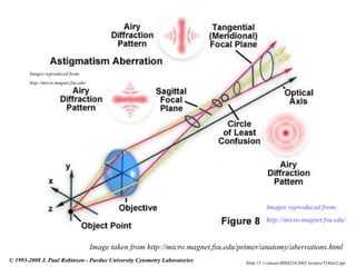 Slide 15 t:/classes/BMS524/2002 lectures/524lect2.ppt
© 1993-2008 J. Paul Robinson - Purdue University Cytometry Laboratories
Image taken from http://micro.magnet.fsu.edu/primer/anatomy/aberrations.html
Images reproduced from:
http://micro.magnet.fsu.edu/
Images reproduced from:
http://micro.magnet.fsu.edu/
 