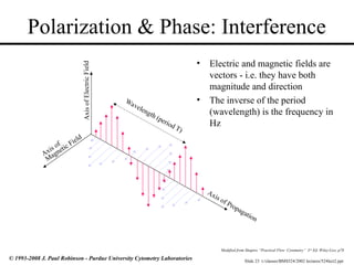 Slide 23 t:/classes/BMS524/2002 lectures/524lect2.ppt
© 1993-2008 J. Paul Robinson - Purdue University Cytometry Laboratories
Polarization & Phase: Interference
• Electric and magnetic fields are
vectors - i.e. they have both
magnitude and direction
• The inverse of the period
(wavelength) is the frequency in
Hz
Wavelength (period T)
Axis of
Magnetic Field
Axis of Propagation
Axis
of
Electric
Field
Modified from Shapiro “Practical Flow Cytometry” 3rd
Ed. Wiley-Liss, p78
 