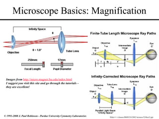 Slide 4 t:/classes/BMS524/2002 lectures/524lect2.ppt
© 1993-2008 J. Paul Robinson - Purdue University Cytometry Laboratories
Microscope Basics: Magnification
Images from http://micro.magnet.fsu.edu/index.html
I suggest you visit this site and go through the tutorials –
they are excellent!
 