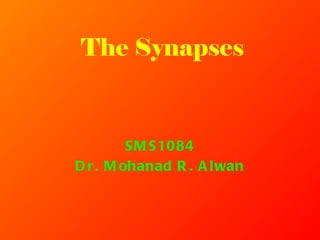 The  Synapses SMS1084 Dr. Mohanad R. Alwan 