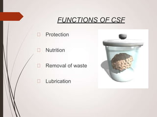 FUNCTIONS OF CSF
Protection
Nutrition
Removal of waste
Lubrication
 