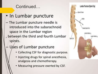 Continued…
• In Lumbar puncture
– The Lumbar puncture needle is
introduced into the subarachnoid
space in the Lumbar region
, between the third and fourth Lumbar
spines.
– Uses of Lumbar puncture
• Collecting CSF for diagnostic purpose.
• Injecting drugs for spinal anesthesia,
analgesia and chemotherapy.
• Measuring pressure exerted by CSF.
 
