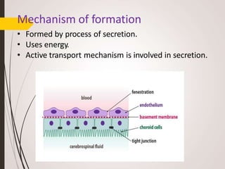 Mechanism of formation
• Formed by process of secretion.
• Uses energy.
• Active transport mechanism is involved in secretion.
 