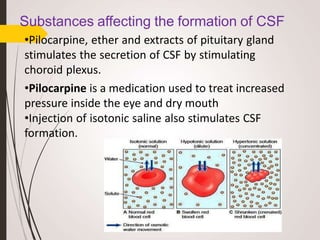 Substances affecting the formation of CSF
•Pilocarpine, ether and extracts of pituitary gland
stimulates the secretion of CSF by stimulating
choroid plexus.
•Pilocarpine is a medication used to treat increased
pressure inside the eye and dry mouth
•Injection of isotonic saline also stimulates CSF
formation.
 