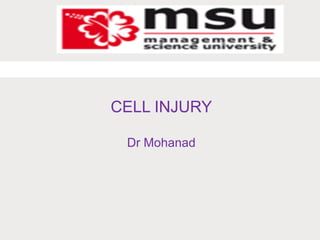 CELL INJURY
Dr Mohanad
 