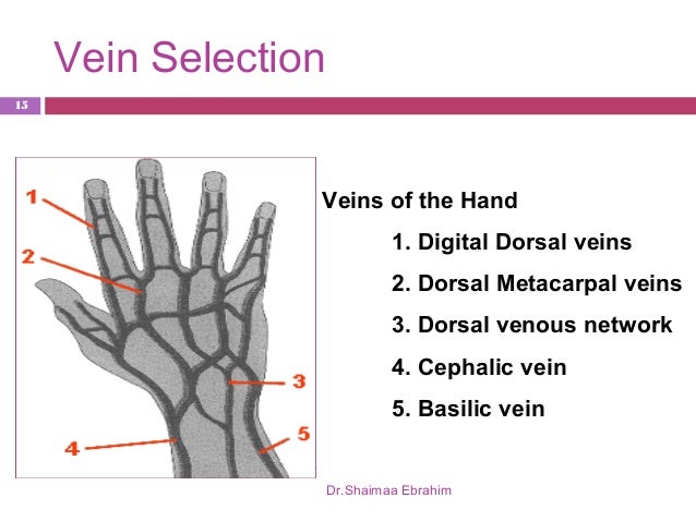 Lect 5 cannulation students