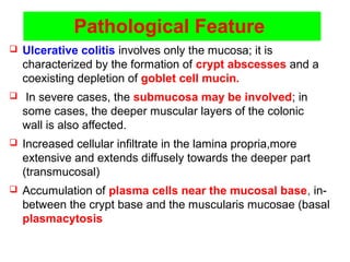 Pathological Feature
 Ulcerative colitis involves only the mucosa; it is
characterized by the formation of crypt abscesses and a
coexisting depletion of goblet cell mucin.
 In severe cases, the submucosa may be involved; in
some cases, the deeper muscular layers of the colonic
wall is also affected.
 Increased cellular infiltrate in the lamina propria,more
extensive and extends diffusely towards the deeper part
(transmucosal)
 Accumulation of plasma cells near the mucosal base, in-
between the crypt base and the muscularis mucosae (basal
plasmacytosis
 