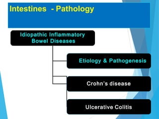 Intestines - Pathology
Idiopathic Inflammatory
Bowel Diseases
Etiology & Pathogenesis
Crohn’s disease
Ulcerative Colitis
 