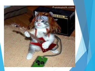 inflammatory bowel disease