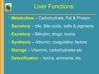 Liver disease | PPT
