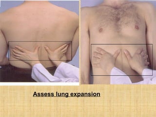 Testing Chest Expansion thoracic & lung assessment | PPT