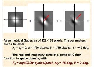 filter based texture analysis method texture Analysis gabor filter.pdf