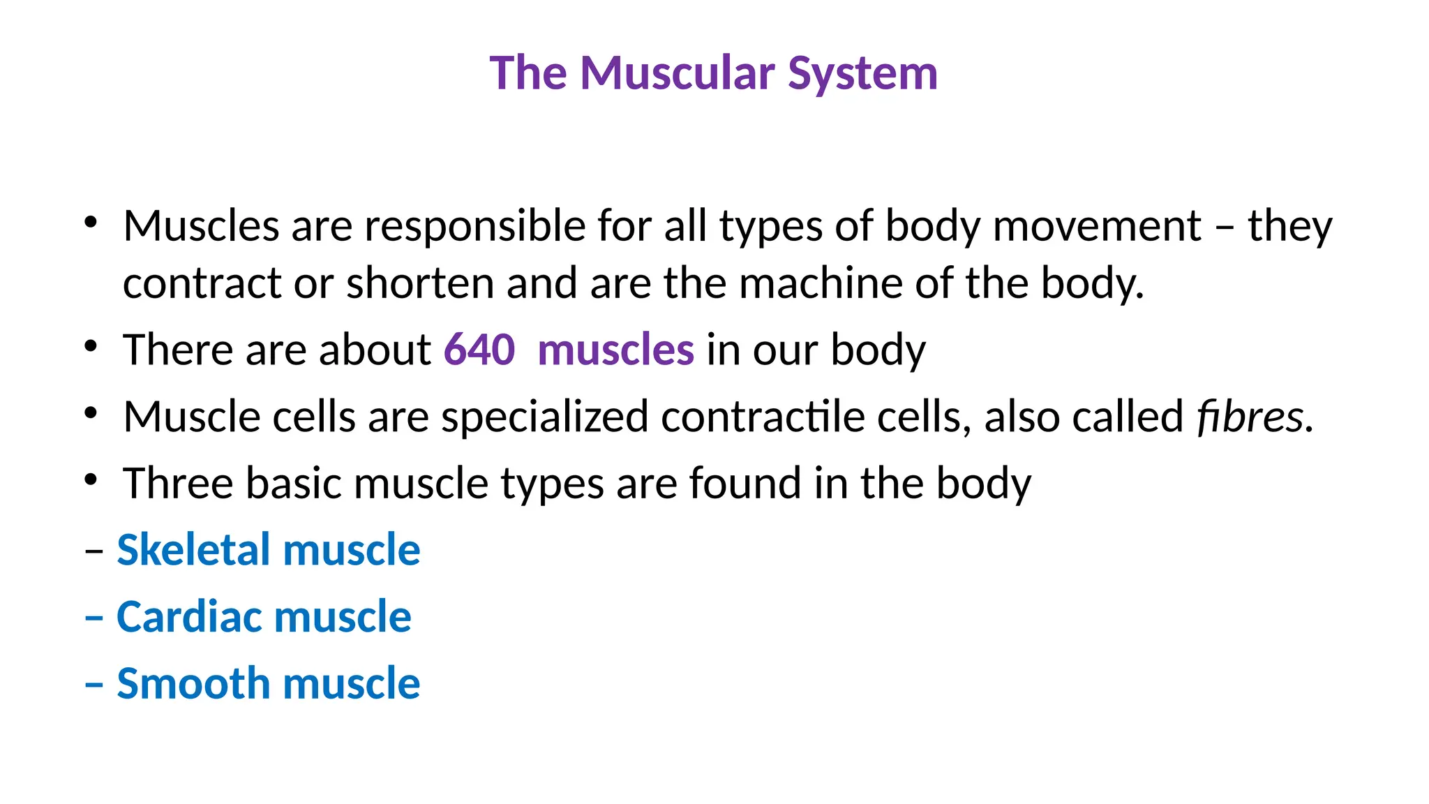 The Muscular System
• Muscles are responsible for all types of body movement – they
contract or shorten and are the machine of the body.
• There are about 640 muscles in our body
• Muscle cells are specialized contractile cells, also called fibres.
• Three basic muscle types are found in the body
– Skeletal muscle
– Cardiac muscle
– Smooth muscle
 