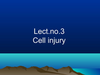Lect.no.3
Cell injury
 