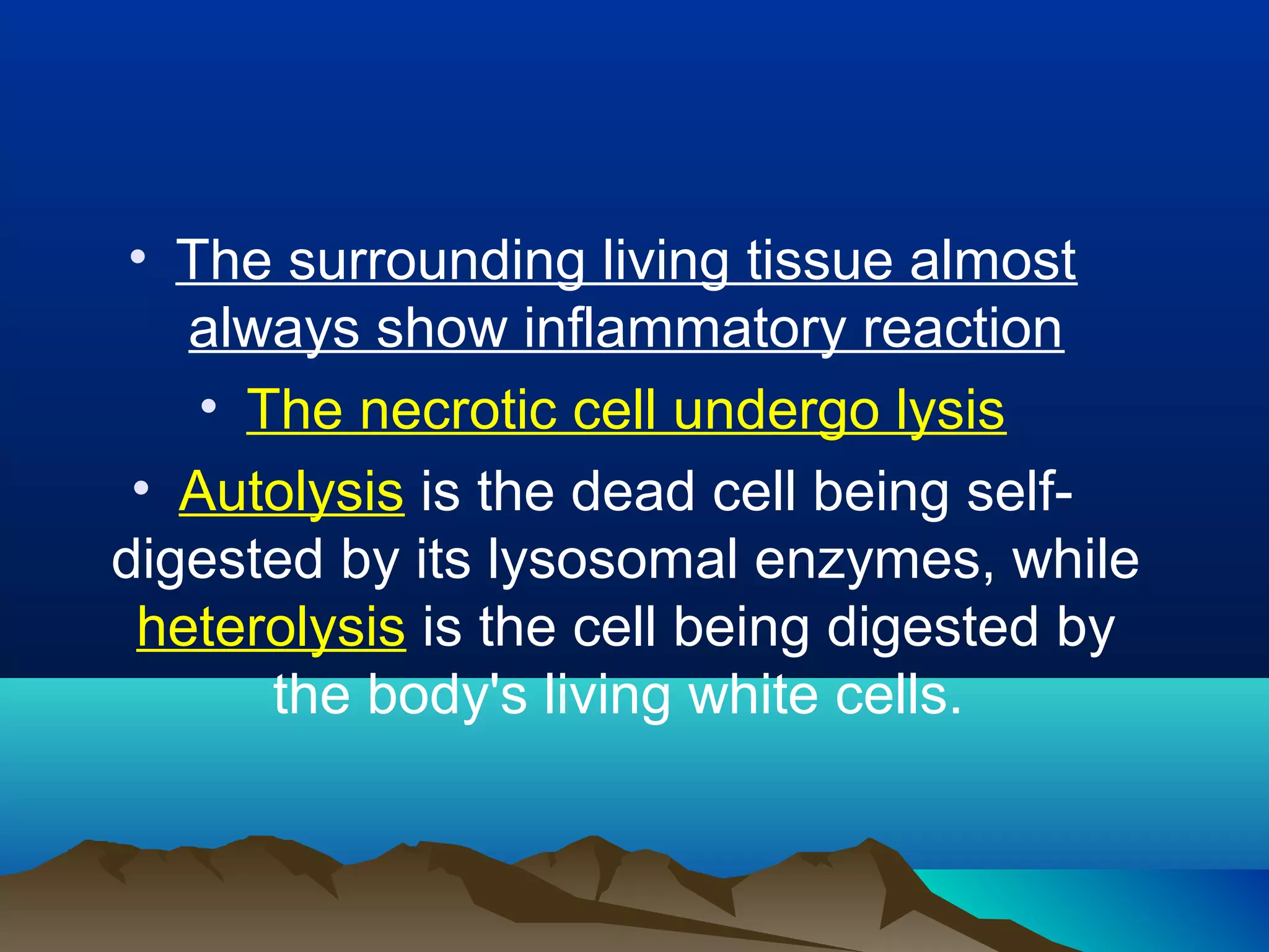 • The surrounding living tissue almost
   always show inflammatory reaction
    • The necrotic cell undergo lysis
 • Autolysis is the dead cell being self-
digested by its lysosomal enzymes, while
 heterolysis is the cell being digested by
       the body's living white cells.
 