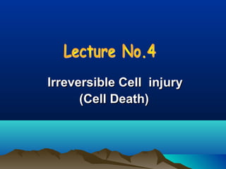 Irreversible Cell injury
      (Cell Death)
 
