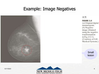 12/17/2023 8
Example: Image Negatives
Small
lesion
 