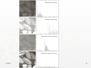 digital image processiComprehensive Lecture on Intensity ...