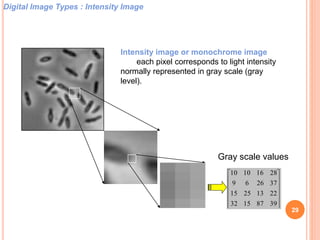 Digital Image Types : Intensity Image
Intensity image or monochrome image
each pixel corresponds to light intensity
normally represented in gray scale (gray
level).












39871532
22132515
372669
28161010
Gray scale values
29
 