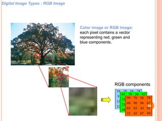 











39871532
22132515
372669
28161010












39656554
42475421
67965432
43567065












99876532
92438585
67969060
78567099
Digital Image Types : RGB Image
Color image or RGB image:
each pixel contains a vector
representing red, green and
blue components.
RGB components
30
 